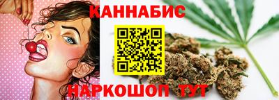 крисы Обь
